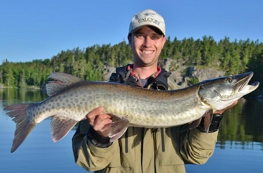 Salmon Fishing Trips in Illinois